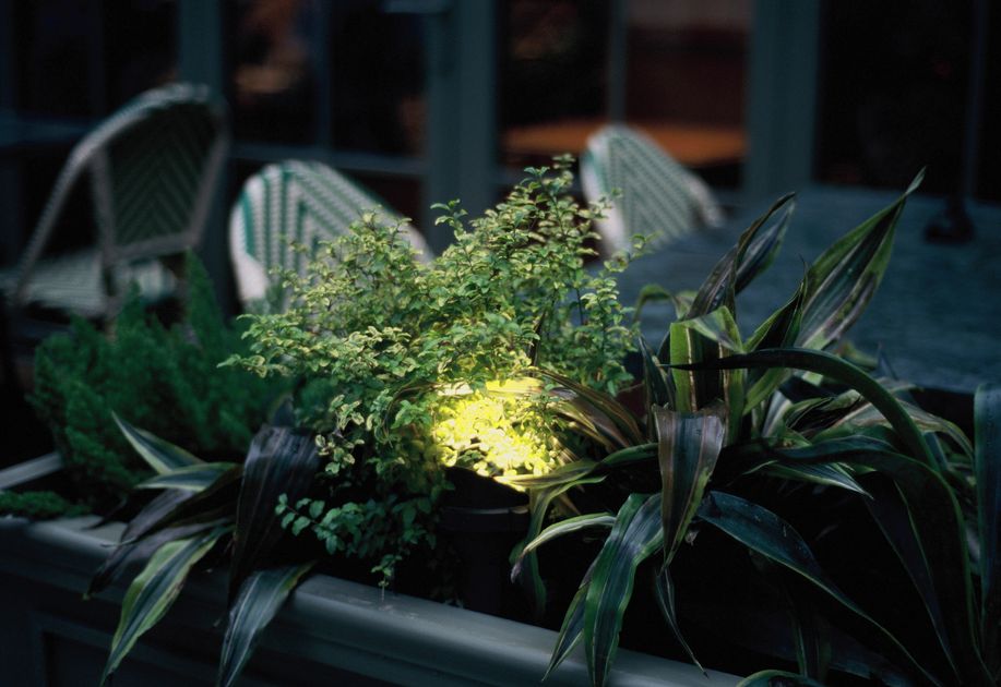 Formal garden with evening lighting and planted terrace, Harrogate